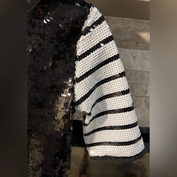 Zara Size Small Sequined crop top with tie closure in back - Picture 3 of 10